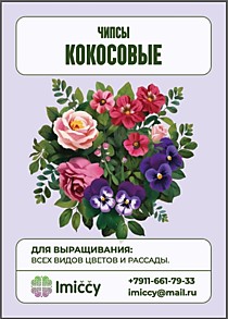 Чипсы кокосовые, 1 литр