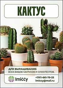 Грунт "Кактус", 1 литр.