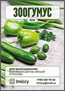 Зоогумус Черной львинки, 3,3л. (Пластиковый контейнер)